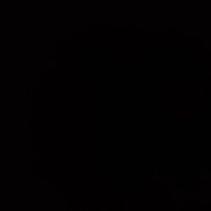 Meet your Posher, Wee